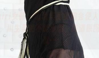 3Agirl女郎 – 听说华丽美胸会使人失去理智，川生果然不能小觑，高清原图一看就…