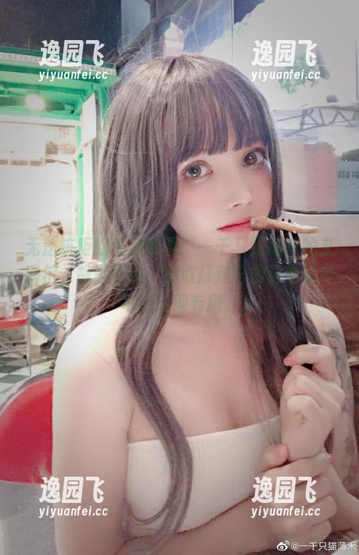 无法抗拒的私房美图：一千只猫薄禾的艾瑞尔，静谧夜曲，我敢打赌它能让考试复习也变得有趣。