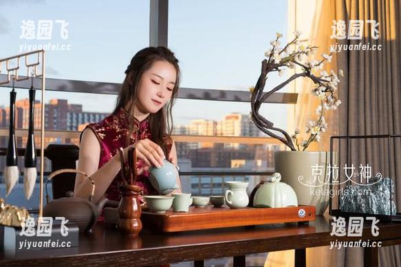 克拉女神 - 繁忙的空姐，都藏在苏可可的图库里，别犹豫，快去下载。
