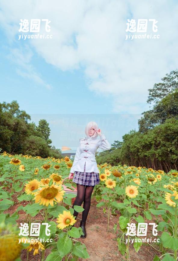 数据和光影：塔塔_Lo1iTa修女写真不可思议的壁纸迷雾