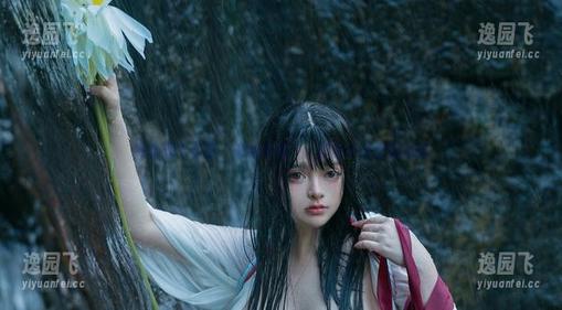 阿寨寨带你看“恋柱败北”：这柱子有点意思啊