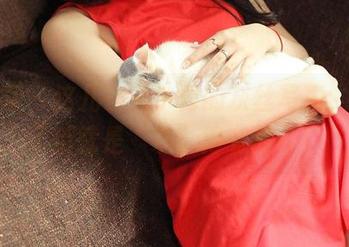 青豆客 – 这儿有艾小青的灰丝写真，下载了后就是“灰”得有品位！